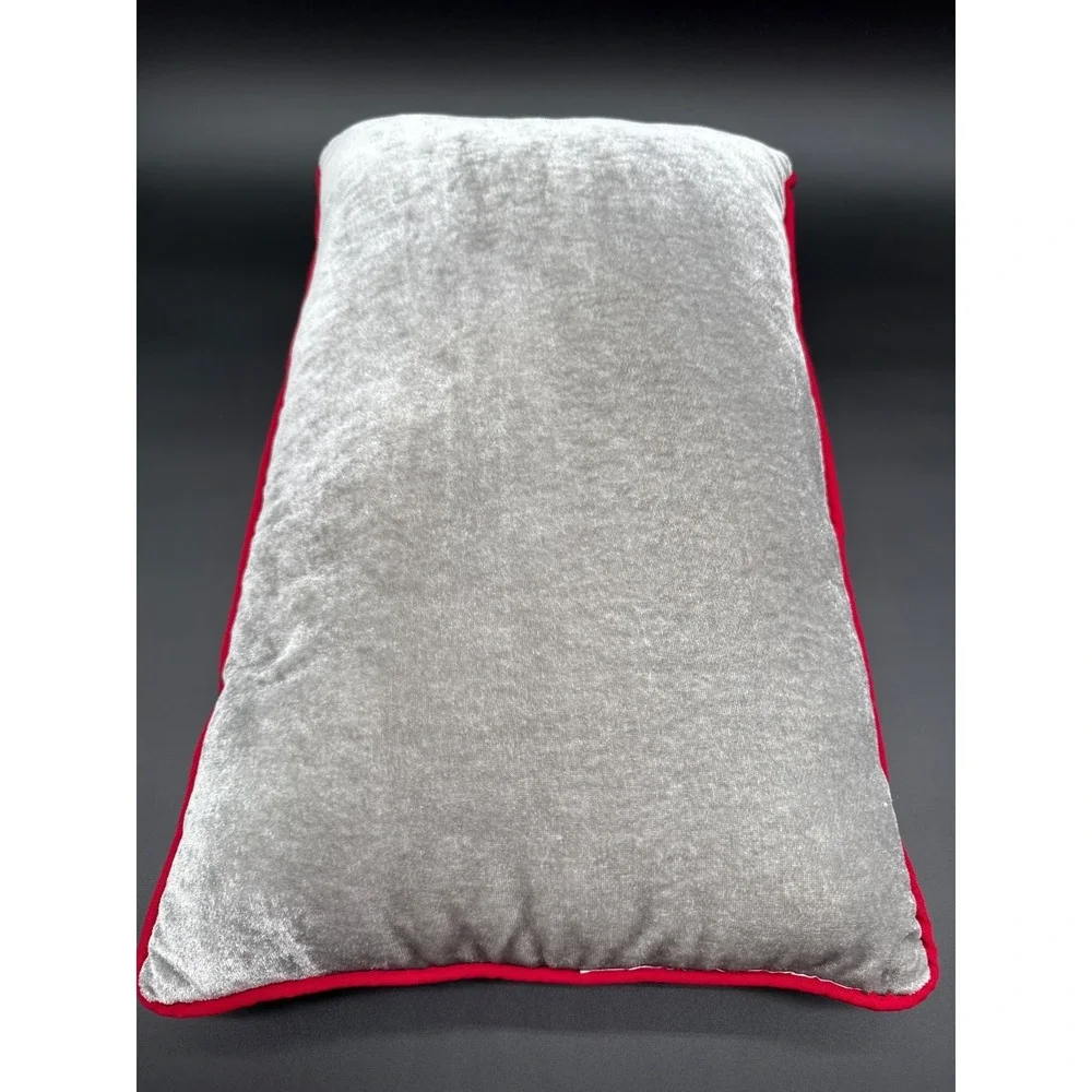 Santa Sleigh and Snowflake Christmas Throw Pillow/Red Trim -Soft Velvet Material